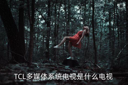 tcl多媒體是做什么的，TCL多媒體科技控股有限公司AV事業(yè)部 的員工每天工作大概多