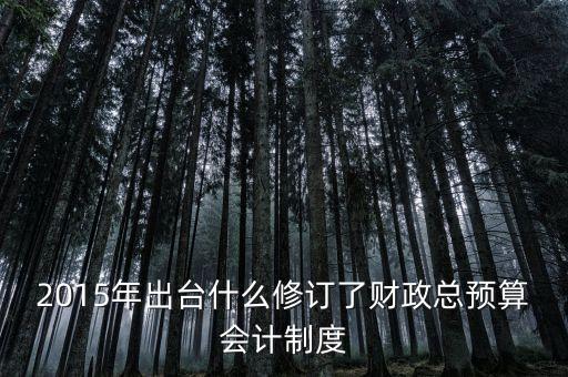 2015年我國實行的是什么財政政策，2015年出臺什么修訂了財政總預(yù)算會計制度