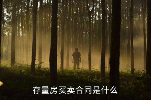 存量房買賣合同是什么