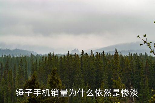 錘子手機銷量為什么依然是慘淡