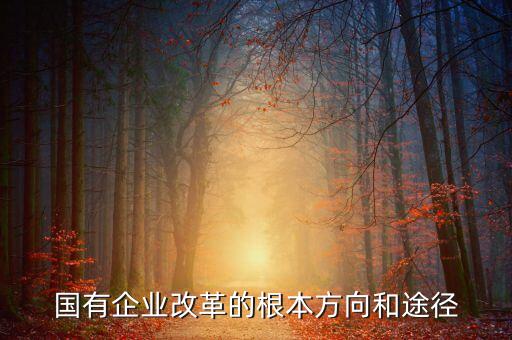 國(guó)有企業(yè)改革的根本方向和途徑