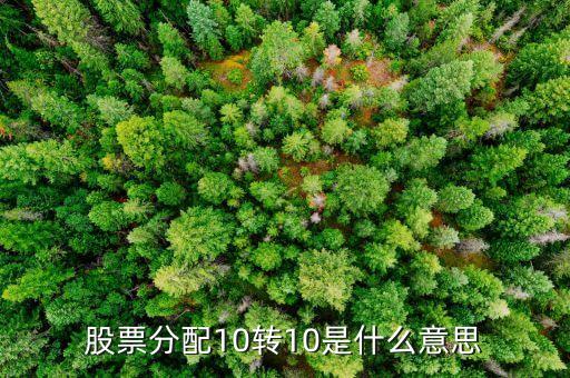 為什么10轉(zhuǎn)10，股票分配10轉(zhuǎn)10是什么意思