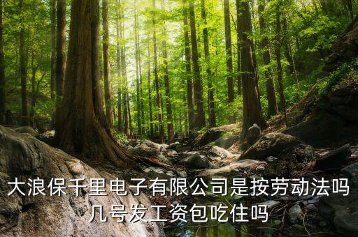 保千里是什么公司，深圳市保千里電子有限公司的公司簡(jiǎn)介
