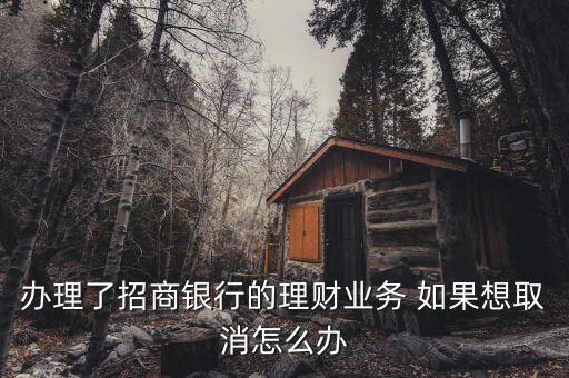 理財(cái)類業(yè)務(wù)停辦實(shí)行什么方式，想在北京開一家投資管理公司但北京的金融類公司停辦了還有什么