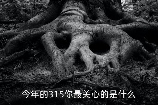 今年的315你最關(guān)心的是什么