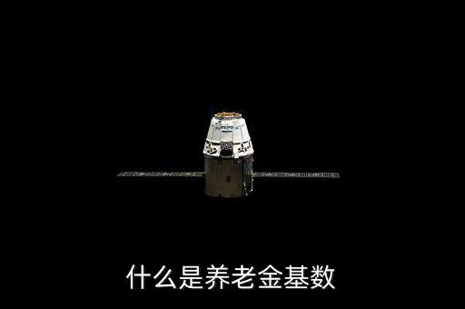 養(yǎng)老保險基數(shù)是什么，養(yǎng)老保險交費基數(shù)是什么