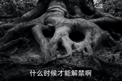 秦川機(jī)床什么時(shí)候解禁，什么時(shí)候才能解禁啊