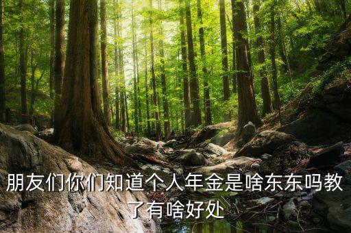 朋友們你們知道個(gè)人年金是啥東東嗎教了有啥好處
