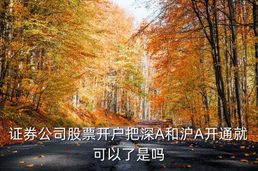 證券公司股票開戶把深A(yù)和滬A開通就可以了是嗎