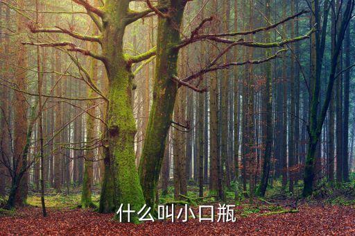 什么叫小口瓶