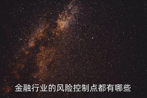 金融行業(yè)的風(fēng)險(xiǎn)控制點(diǎn)都有哪些