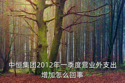 中恒集團(tuán)2012年一季度營業(yè)外支出增加怎么回事