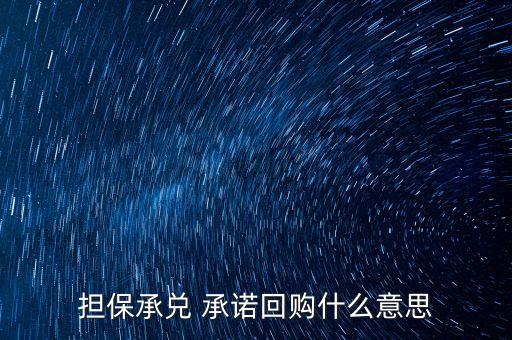 擔(dān)保承兌 承諾回購(gòu)什么意思