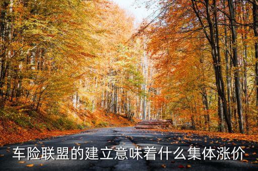 車險聯(lián)盟的建立意味著什么集體漲價