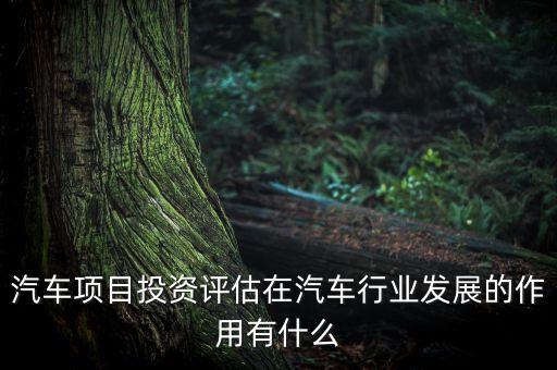 汽車項(xiàng)目投資評(píng)估在汽車行業(yè)發(fā)展的作用有什么