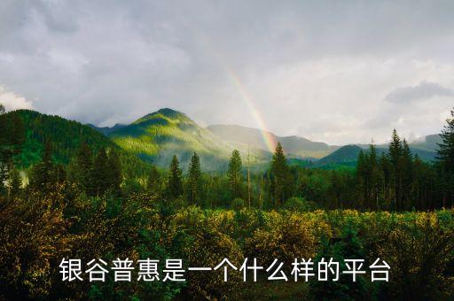 銀谷普惠是一個(gè)什么樣的平臺(tái)