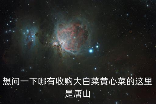 什么地方收購白菜，想問一下哪有收購大白菜黃心菜的這里是唐山