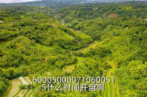 600050000710600515什么時(shí)間開(kāi)盤啊