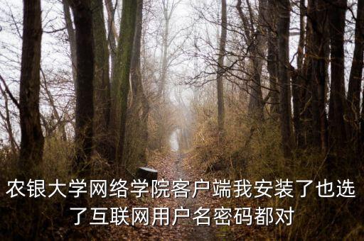 農(nóng)銀大學(xué)網(wǎng)絡(luò)學(xué)院客戶端我安裝了也選了互聯(lián)網(wǎng)用戶名密碼都對