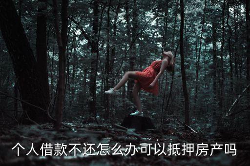 個人借款不還怎么辦可以抵押房產(chǎn)嗎
