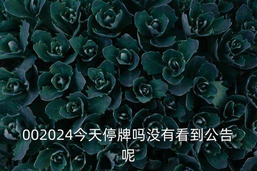 002024今天停牌嗎沒有看到公告呢