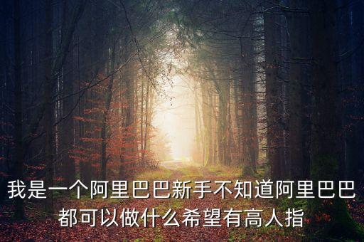 我是一個(gè)阿里巴巴新手不知道阿里巴巴都可以做什么希望有高人指