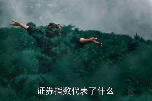 證券指數(shù)代表了什么