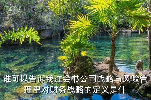 財務戰(zhàn)略屬于什么戰(zhàn)略，財務戰(zhàn)略和財務管理戰(zhàn)略是一回事嗎