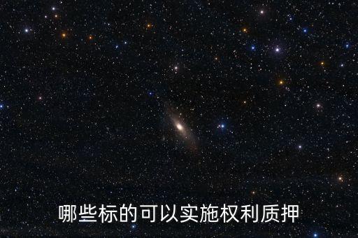 哪些標(biāo)的可以實(shí)施權(quán)利質(zhì)押