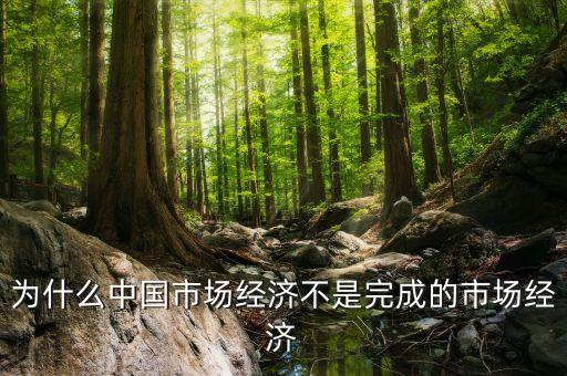 為什么中國(guó)市場(chǎng)經(jīng)濟(jì)不是完成的市場(chǎng)經(jīng)濟(jì)