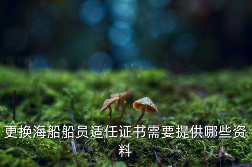 更換海船船員適任證書需要提供哪些資料