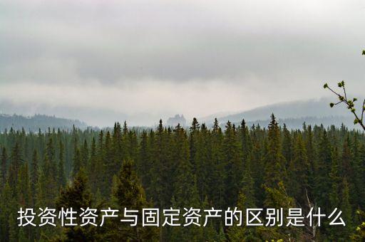 新增資產(chǎn)是指什么，什么叫認(rèn)購公司新增資本
