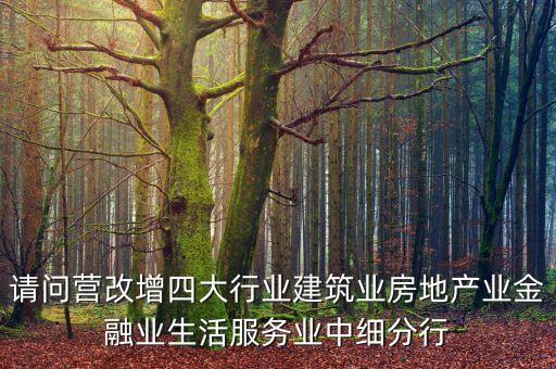 請(qǐng)問(wèn)營(yíng)改增四大行業(yè)建筑業(yè)房地產(chǎn)業(yè)金融業(yè)生活服務(wù)業(yè)中細(xì)分行