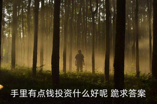有點錢投資什么，有點小錢可以去投資什么呢