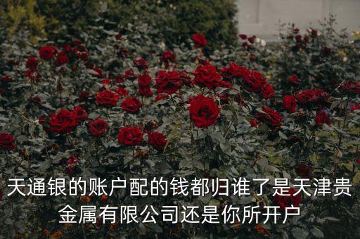 天通銀的賬戶配的錢都?xì)w誰(shuí)了是天津貴金屬有限公司還是你所開戶