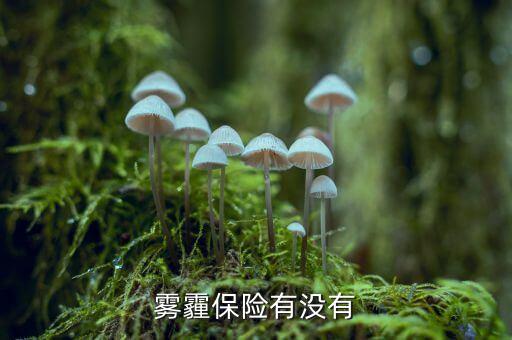 霧霾保險有沒有