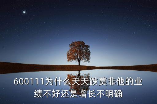 為什么海峽股份天天跌，600111為什么天天跌莫非他的業(yè)績不好還是增長不明確