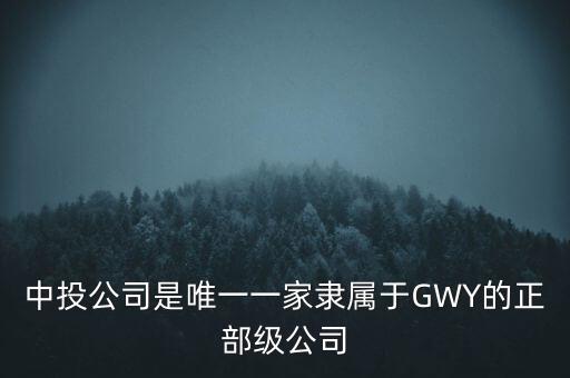 中投公司是唯一一家隸屬于GWY的正部級(jí)公司