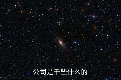 做什么的公司，公司是干些什么的