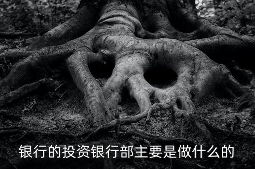 投行部是干什么的，請(qǐng)問(wèn)達(dá)人證券公司的投行部主要是干什么業(yè)務(wù)的如果應(yīng)聘的話需要哪