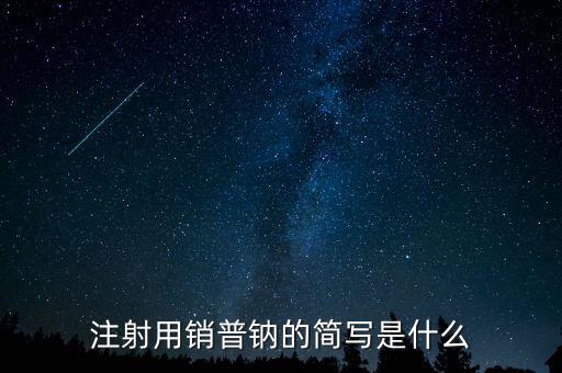 注射用銷普鈉的簡(jiǎn)寫是什么