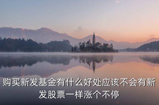 購買新發(fā)基金有什么好處應(yīng)該不會有新發(fā)股票一樣漲個不停