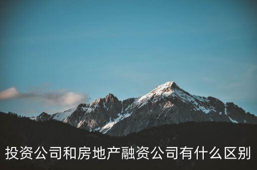 投資公司和房地產(chǎn)融資公司有什么區(qū)別