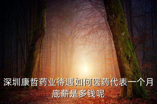 深圳康哲藥業(yè)待遇如何醫(yī)藥代表一個月底薪是多錢呢