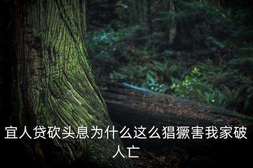 宜人貸為什么售罄，我的宜人貸為什么沒(méi)通過(guò)問(wèn)題出在哪
