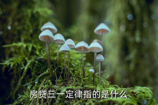 房貸三一定律指的是什么