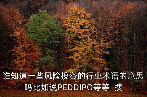 誰知道一些風險投資的行業(yè)術語的意思嗎比如說PEDDIPO等等  搜