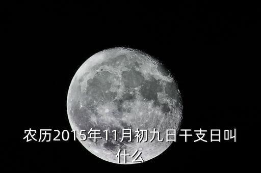 2015年11月9日易干什么，農(nóng)歷2015年11月初九日干支日叫什么