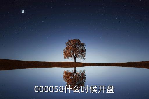 萬方發(fā)展什么時候開盤，000058什么時候開盤