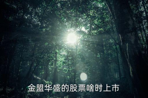 金盟華盛的股票啥時上市